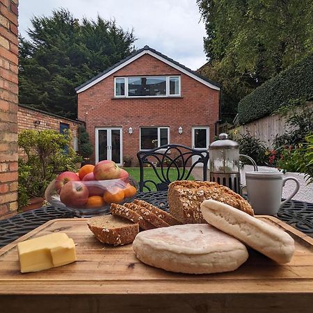 Bt 9 Granny Flat & Walled Garden Belfast Dış mekan fotoğraf