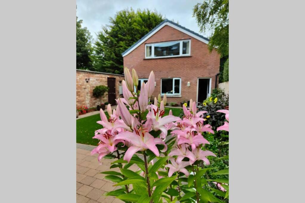 Bt 9 Granny Flat & Walled Garden Belfast Dış mekan fotoğraf