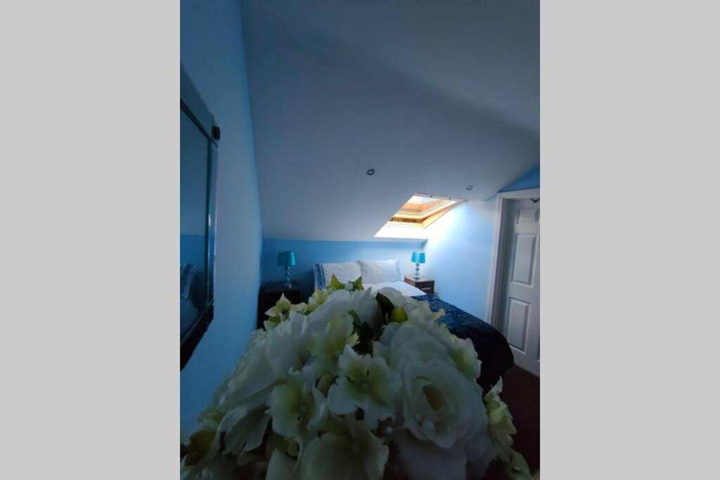 Bt 9 Granny Flat & Walled Garden Belfast Dış mekan fotoğraf