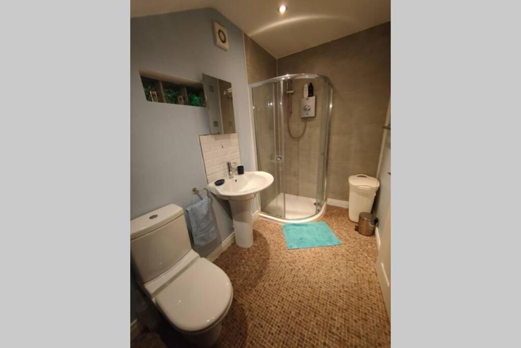 Bt 9 Granny Flat & Walled Garden Belfast Dış mekan fotoğraf